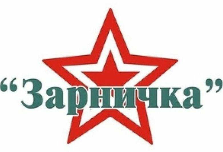 Ник для зарницы. Игра Зарничка. Военно спортивная игра Зарничка. Зарничка эмблема. Зарница (игра).